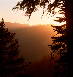 sie_hazyridges_trees.jpg sie_hazyridges_trees.jpg