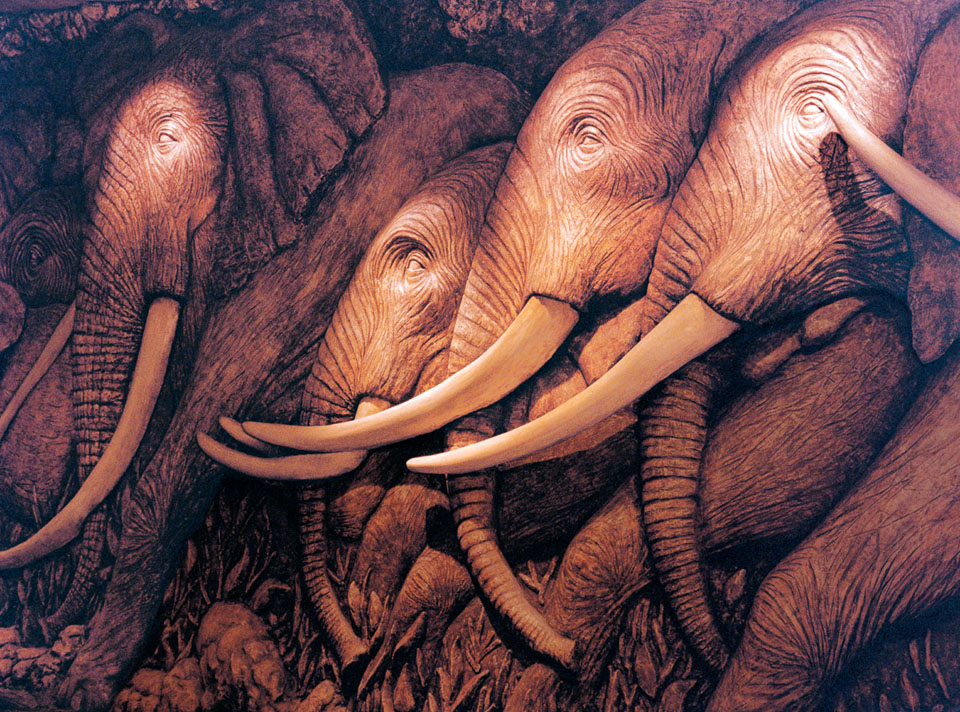 rs_elephantwall.jpg