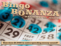 hr_bingobonz-pc.jpg